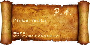 Pinkas Anita névjegykártya